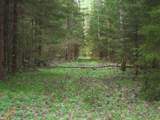 41073 (a): :2048x1536